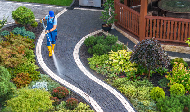  Okolona, MS Pressure Washing Pros